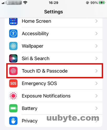 touchid passcode iphone