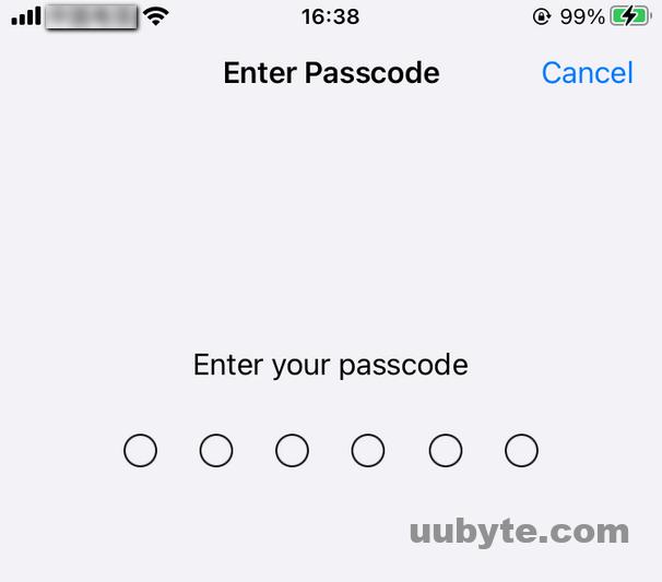 type passcode iphone