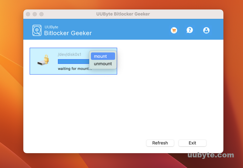 bitlocker geeker mount