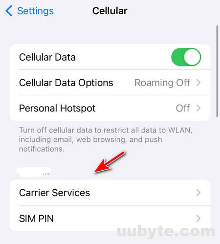 carrier service iphone