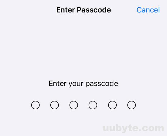 input passcode iphone