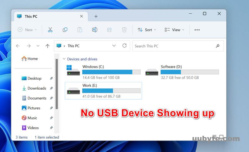 usb device not show up
