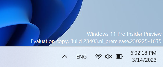 windows 11 insider preview watermark