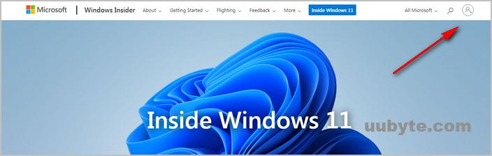 windows 11 insider program