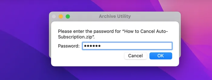 enter password to decrypt zip file
