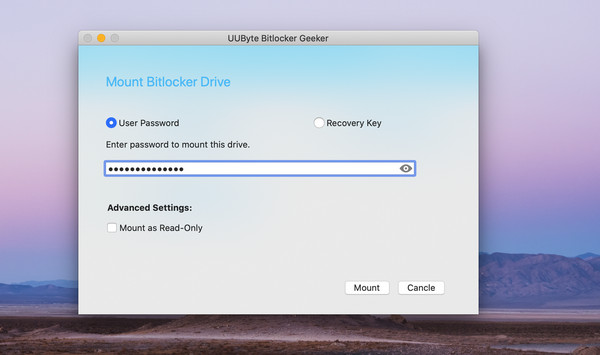 UUByte BitLocker Geeker