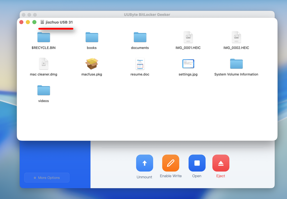 UUByte BitLocker Geeker