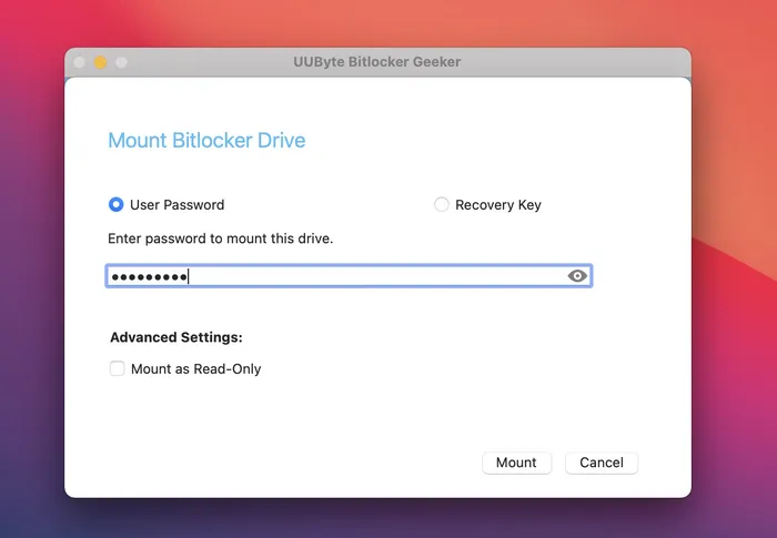 Unlock BitLocker Drive on Mac