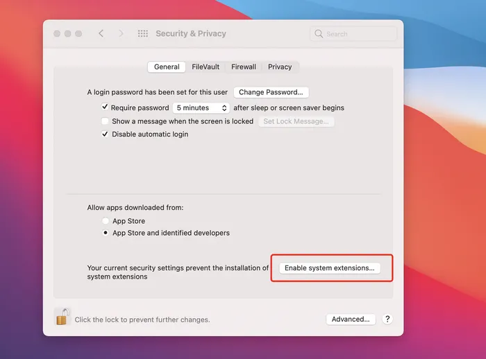 Enable System Extensions M1 Mac