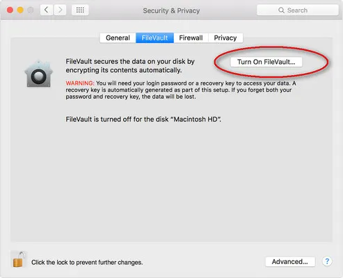 Turn on FileVault