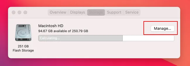 Manage Disk Space on Mac