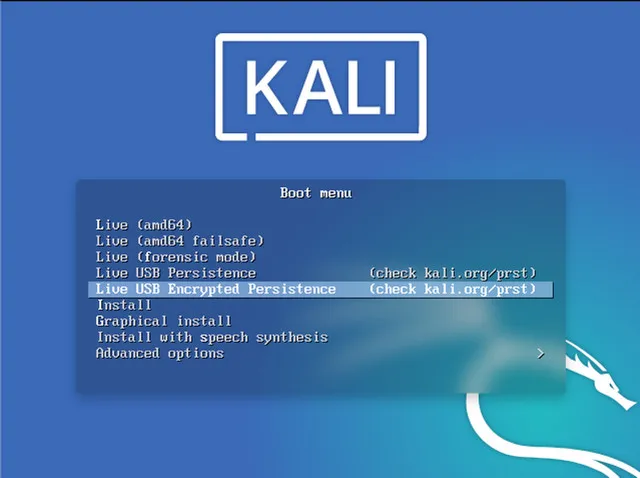 Install Kali Linux from USB