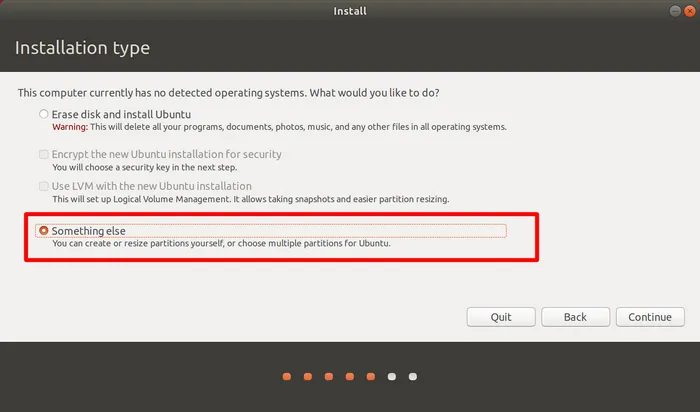 Installation Type for Ubuntu Install