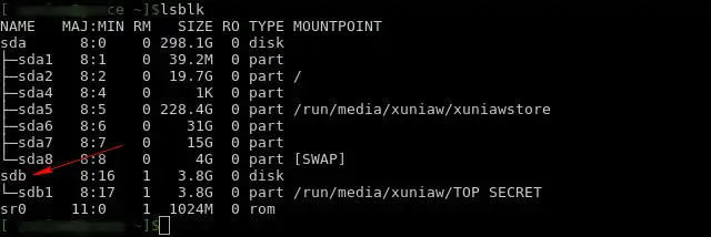 List USB Drive Name Linux lsblk