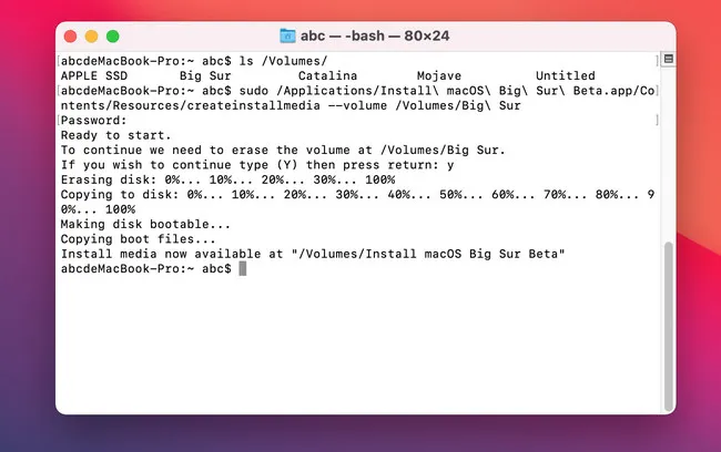 Create macOS Big Sur Bootable USB Mac