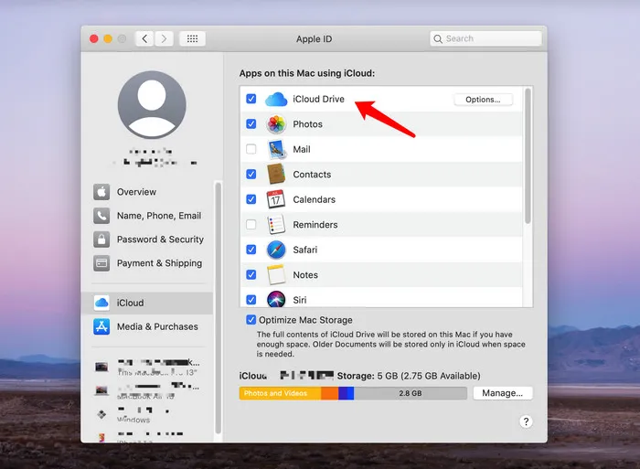iCloud Mac Backupup Software