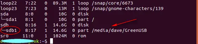 List USB Drive lsblk Linux