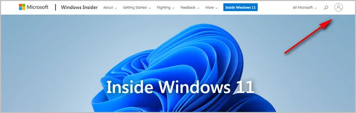 Windows 11 Insider Program