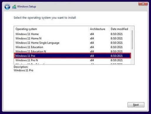 Choose Edition Windows 11 Install