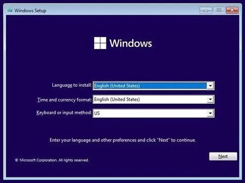 Choose Language Windows 11 Install