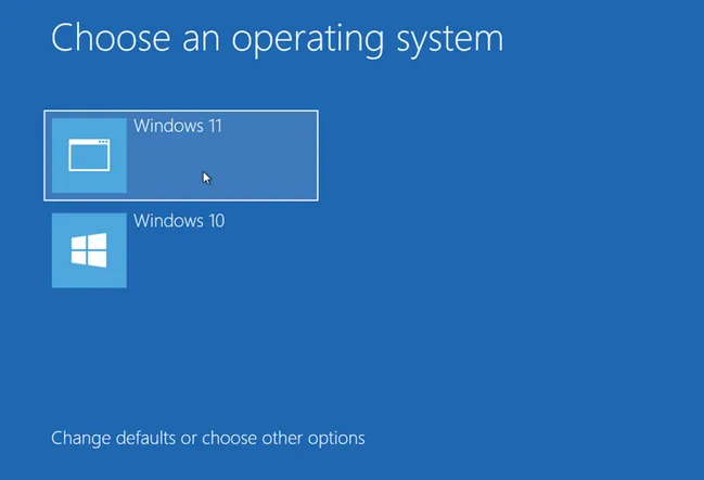 Choose Operating System Dual Boot