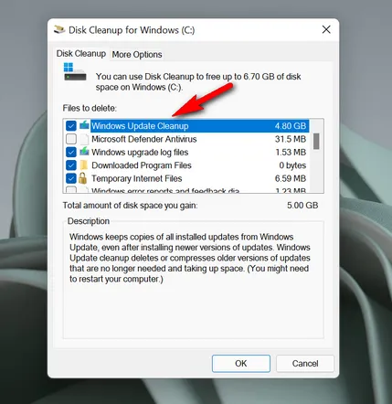 Delete Update Files in Windows 11