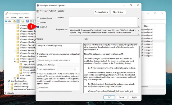 Disable Windows 11 Auto Updates