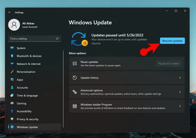 Disable Update Services on Windows 11