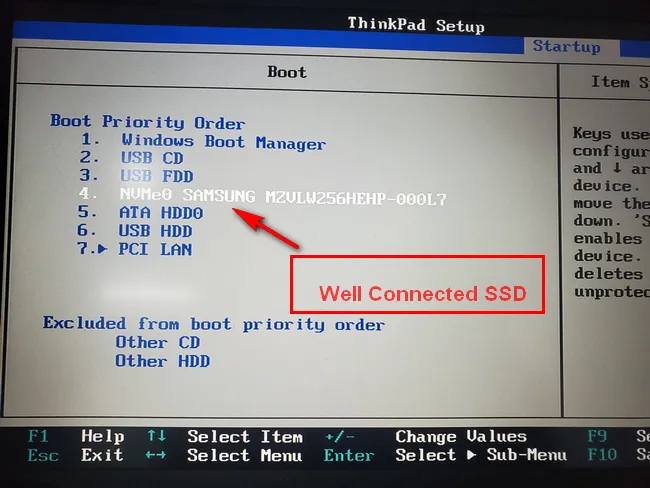 Well Connected SSD in BIOS
