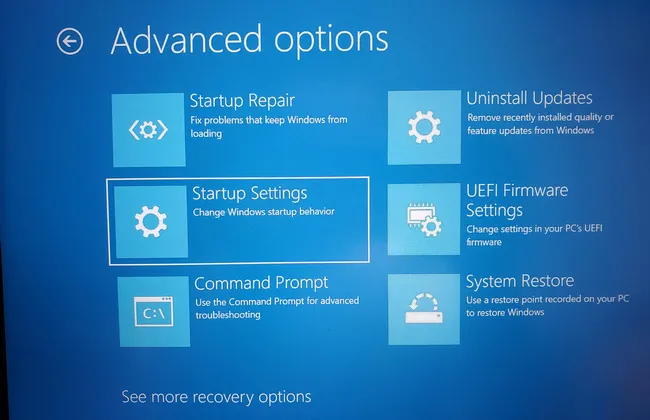 Opzioni nel disco di ripristino
