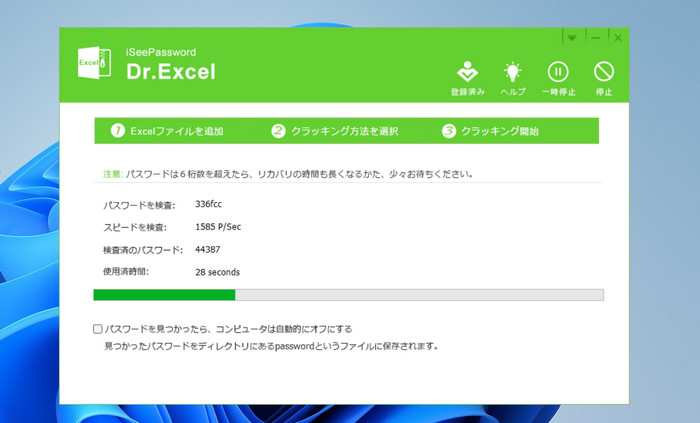 dr.excel jp password cracking
