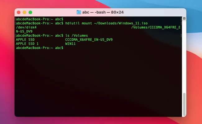 lijst volumes op mac